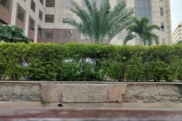 a man riding a skateboard down a street next to a tall building