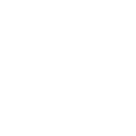 Golf Cart Shuttles at BPTP Downtown 66